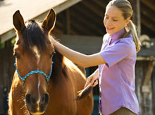 Teenage Girl grooming horse