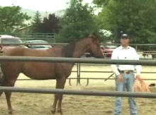 Still image taken from the video